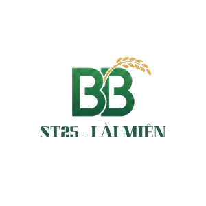BinBen Logo